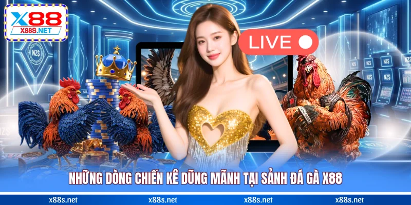 nhung-dong-chien-ke-dung-manh-tai-sanh-da-ga-x88
